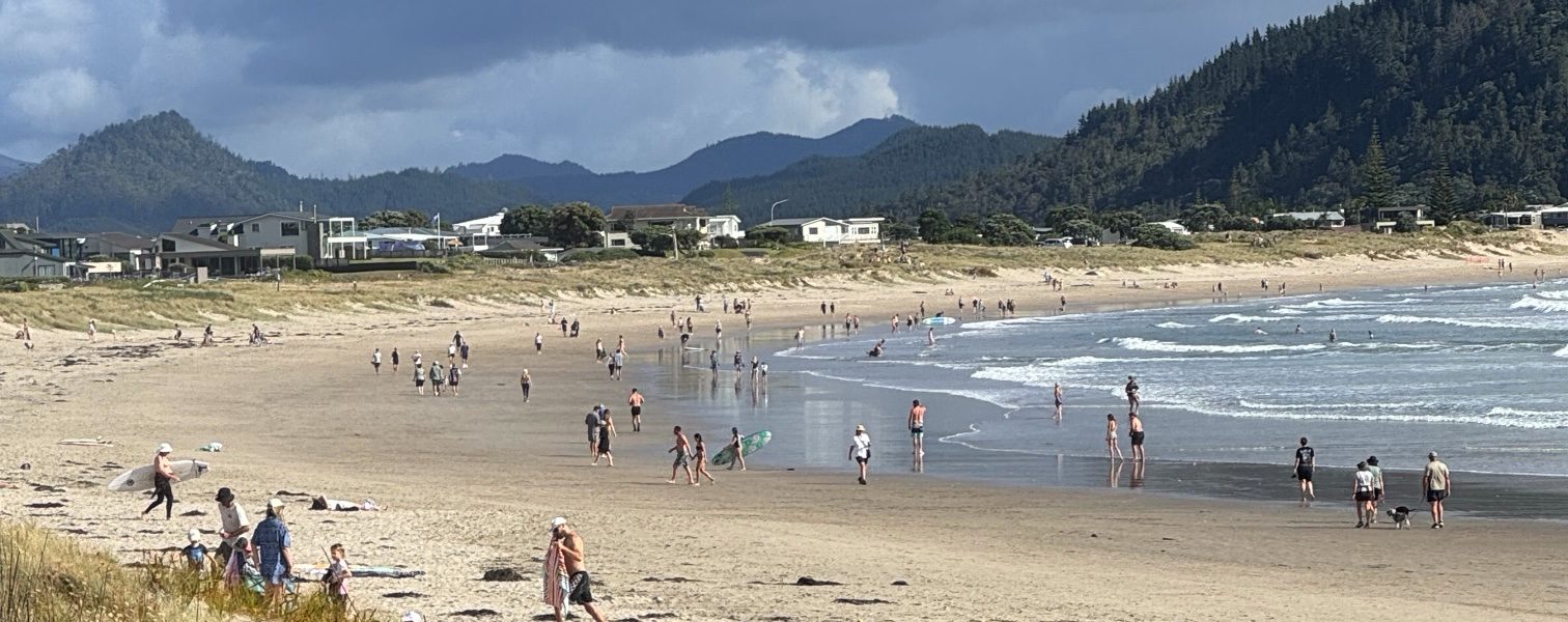 A busy Coromandel beach on a summer afternoon, with holiday homes behind the dunes